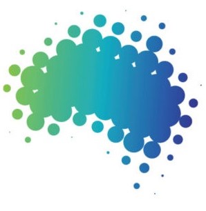 Webinar logo